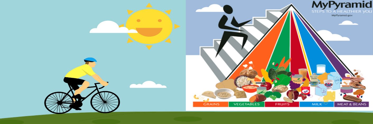 Old Food Pyramid: Basic Information and Pictures